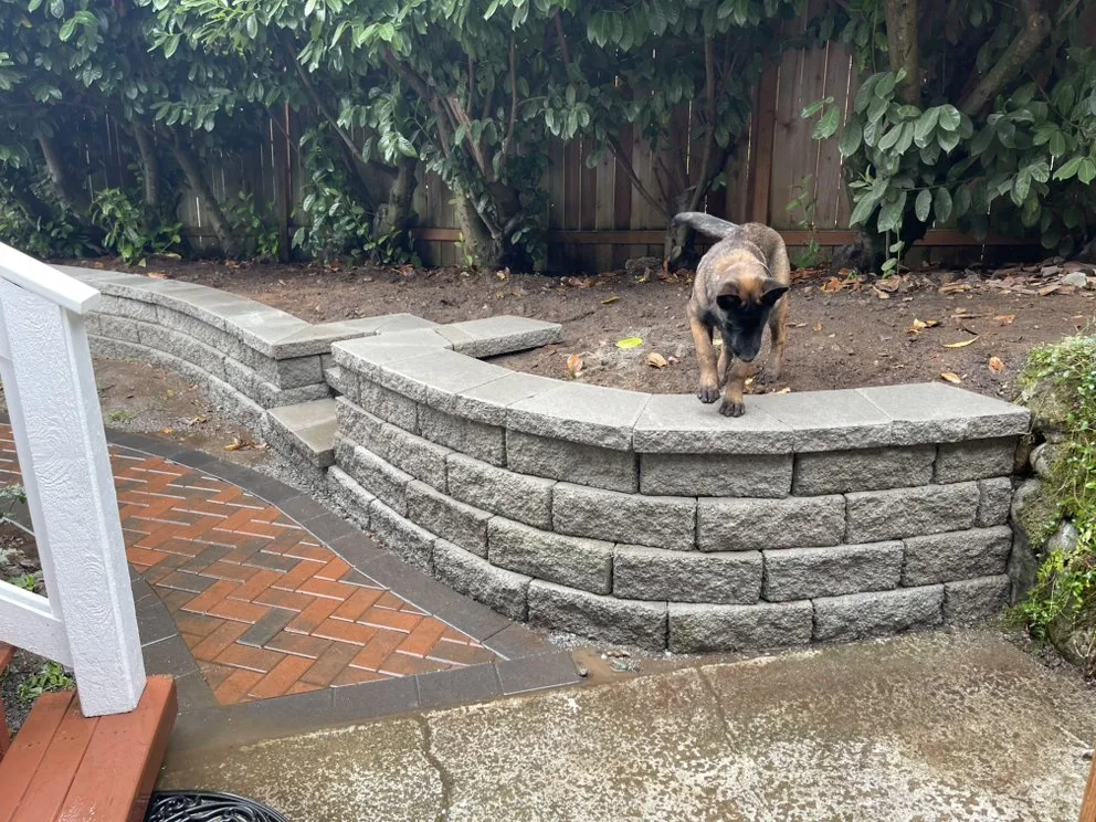 Reliable landscaping services near you in Kent, WA by B’s Landscapes