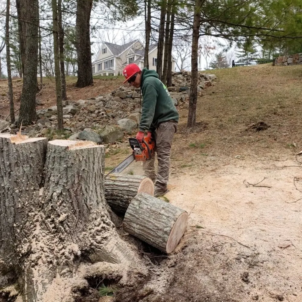 Reliable lawn mowing service near you in Chelsea, MA by B&S Landscaping & Tree Removal services