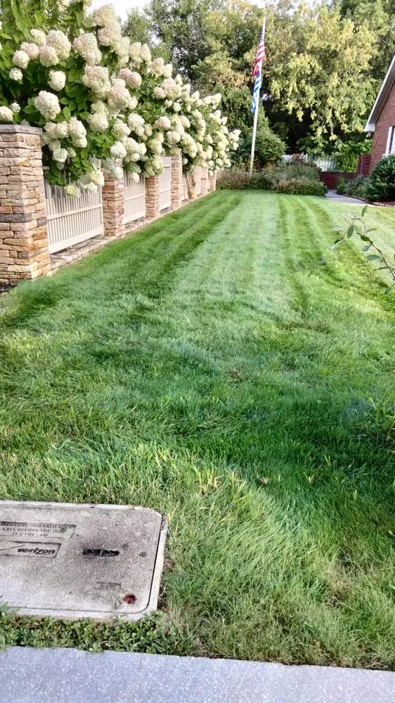 Professional residential landscaping experts serving Chelsea, MA - B&S Landscaping & Tree Removal services