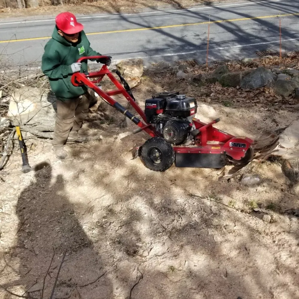 Reliable yard maintenance with custom design in Chelsea, MA by B&S Landscaping & Tree Removal services