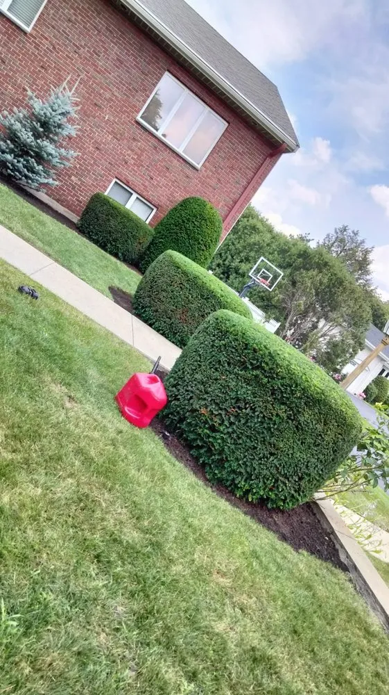 Professional yard cleanup service in Chelsea, MA - B&S Landscaping & Tree Removal services