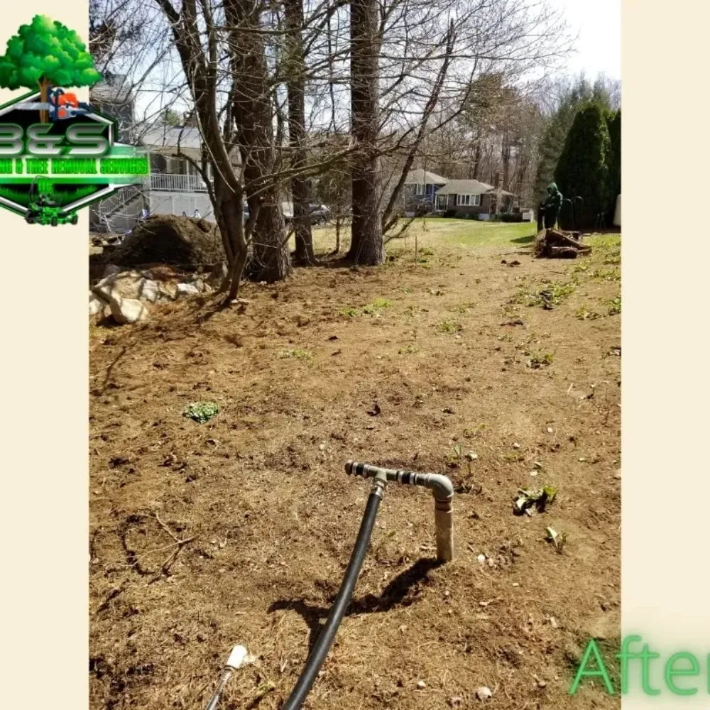 Local lawn care service in Chelsea, MA - B&S Landscaping & Tree Removal services