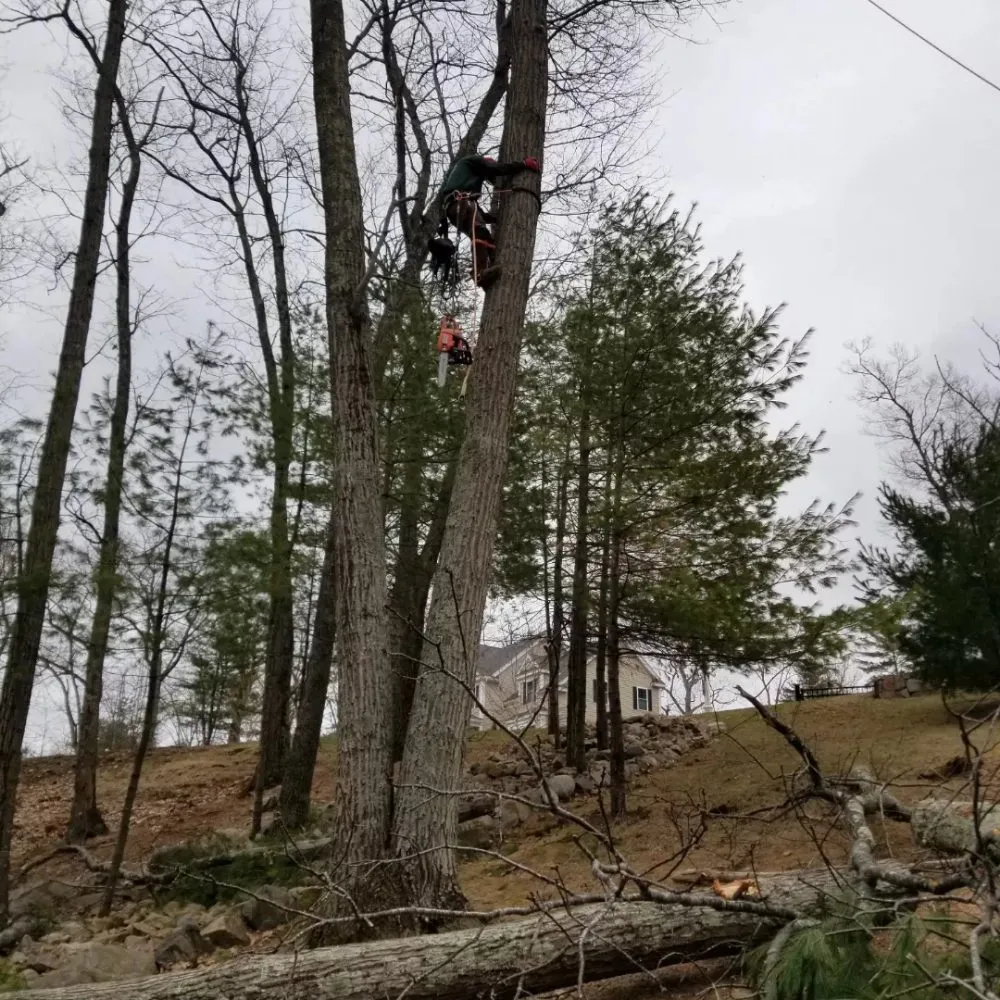 Local landscape installation near you across Chelsea, MA - B&S Landscaping & Tree Removal services