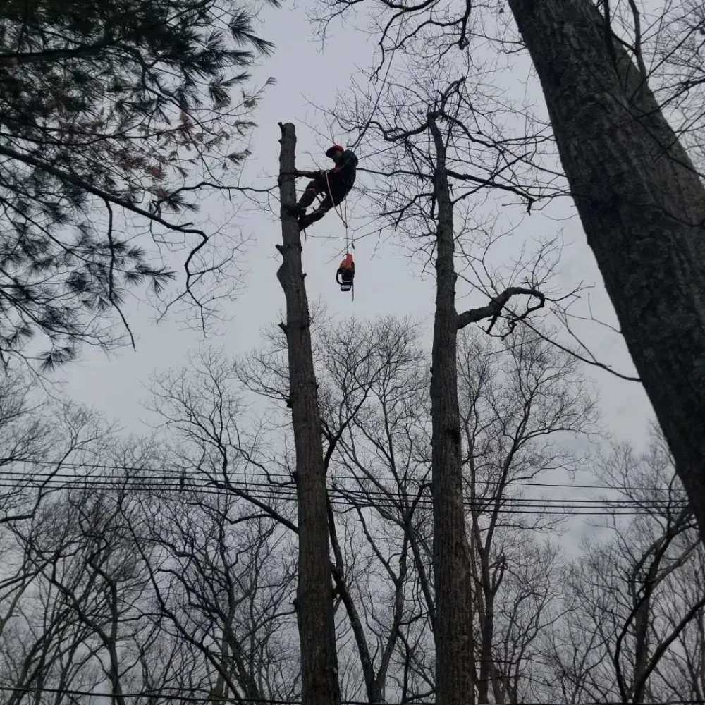 Reliable outdoor landscaping experts serving Chelsea, MA - B&S Landscaping & Tree Removal services