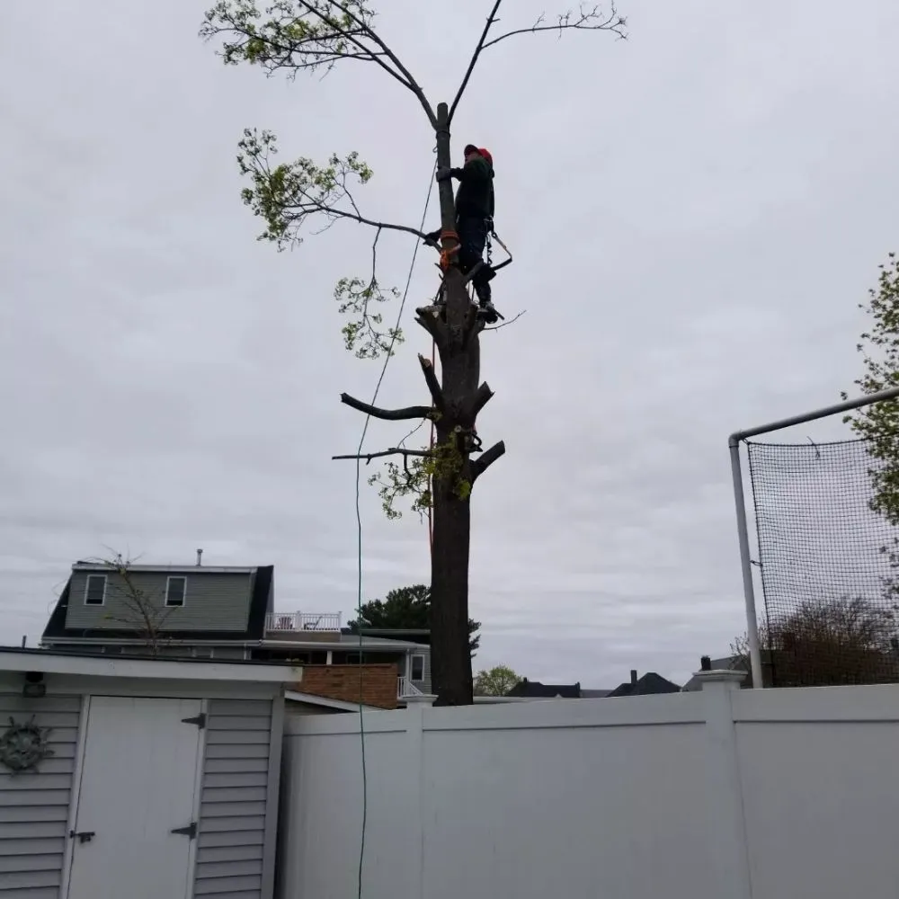 Expert lawn mowing service near you in Chelsea, MA by B&S Landscaping & Tree Removal services