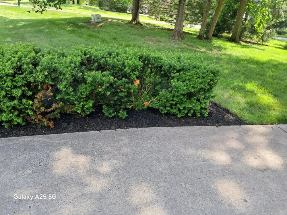 Trusted lawn care service for year-round maintenance across Fort Wayne, IN - B&S LANDSCAPING