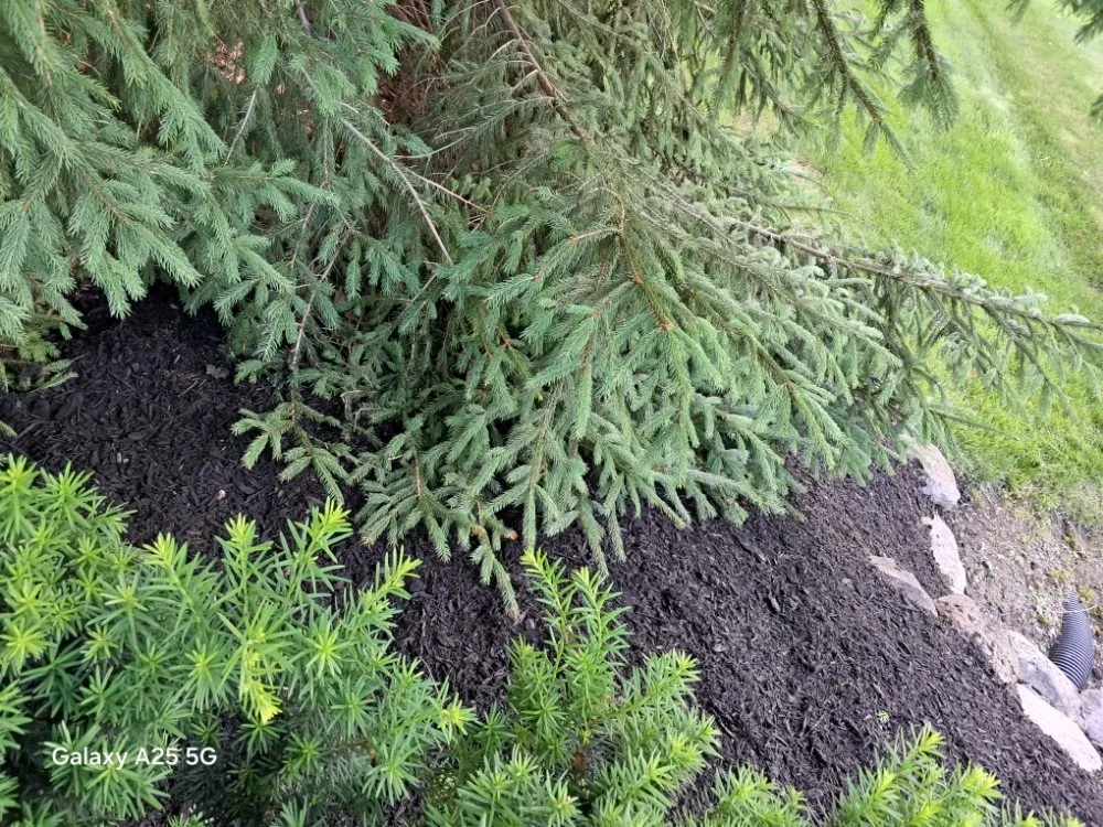 Reliable landscape design near you across Fort Wayne, IN - B&S LANDSCAPING