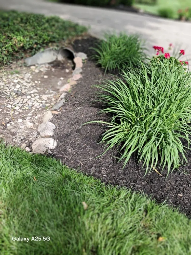 Expert lawn care service in Fort Wayne, IN by B&S LANDSCAPING