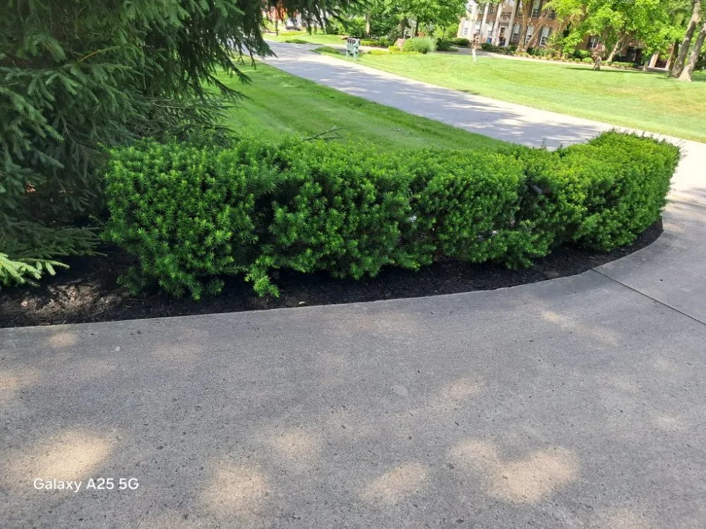 Expert yard cleanup service near you across Fort Wayne, IN - B&S LANDSCAPING