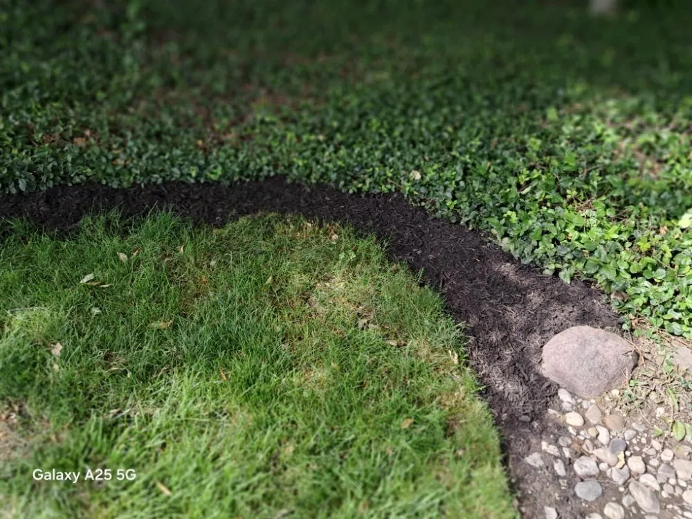 Professional yard cleanup service in Fort Wayne, IN - B&S LANDSCAPING