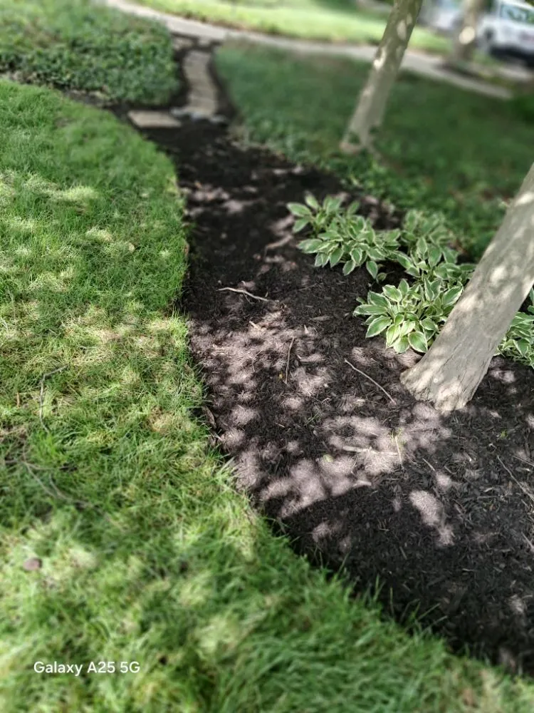 Reliable yard cleanup service in Fort Wayne, IN by B&S LANDSCAPING