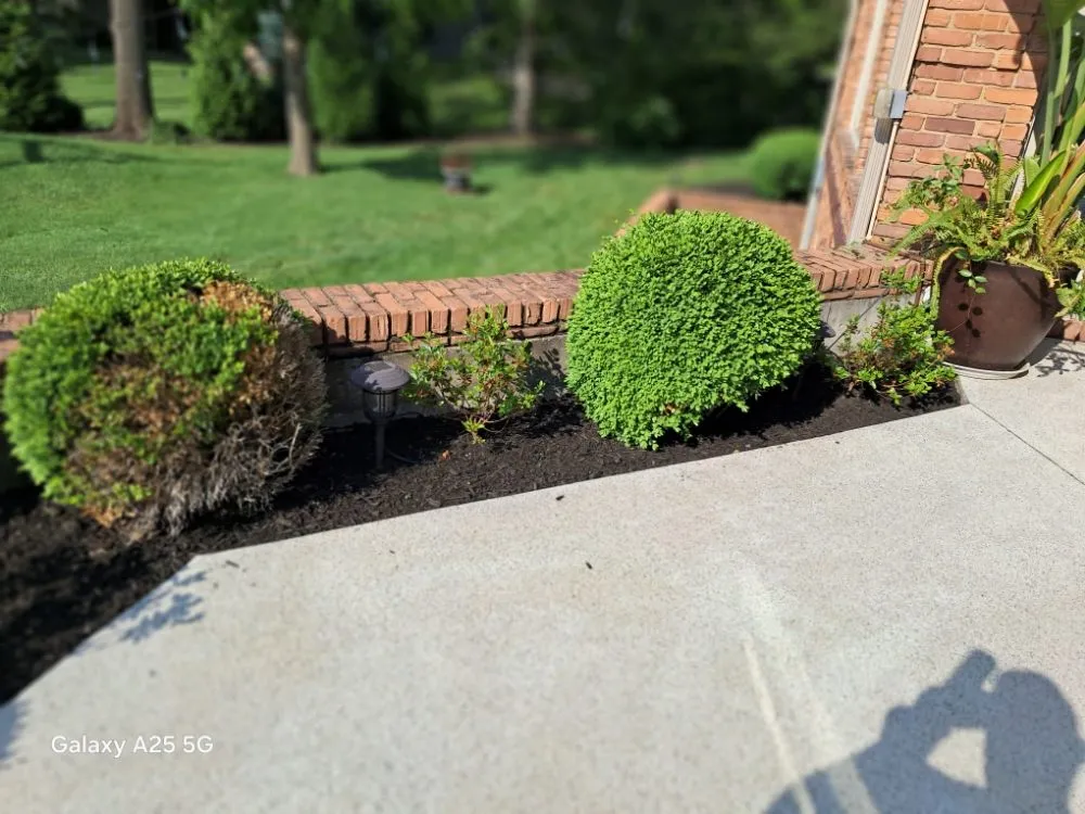 Affordable lawn mowing service in Fort Wayne, IN by B&S LANDSCAPING