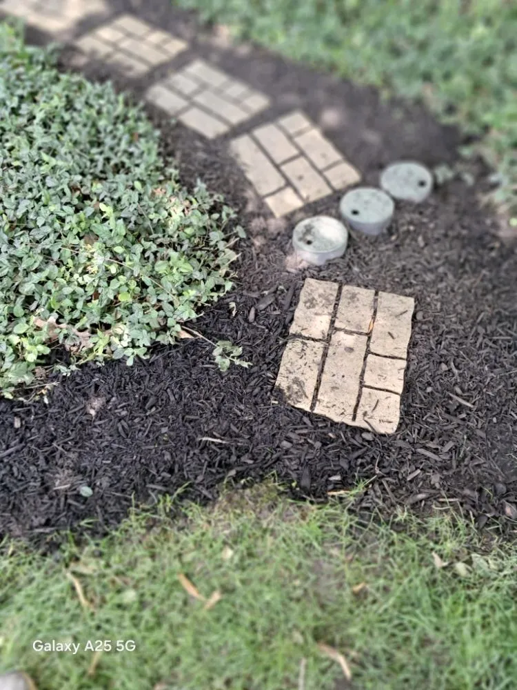 Professional yard maintenance experts serving Fort Wayne, IN - B&S LANDSCAPING