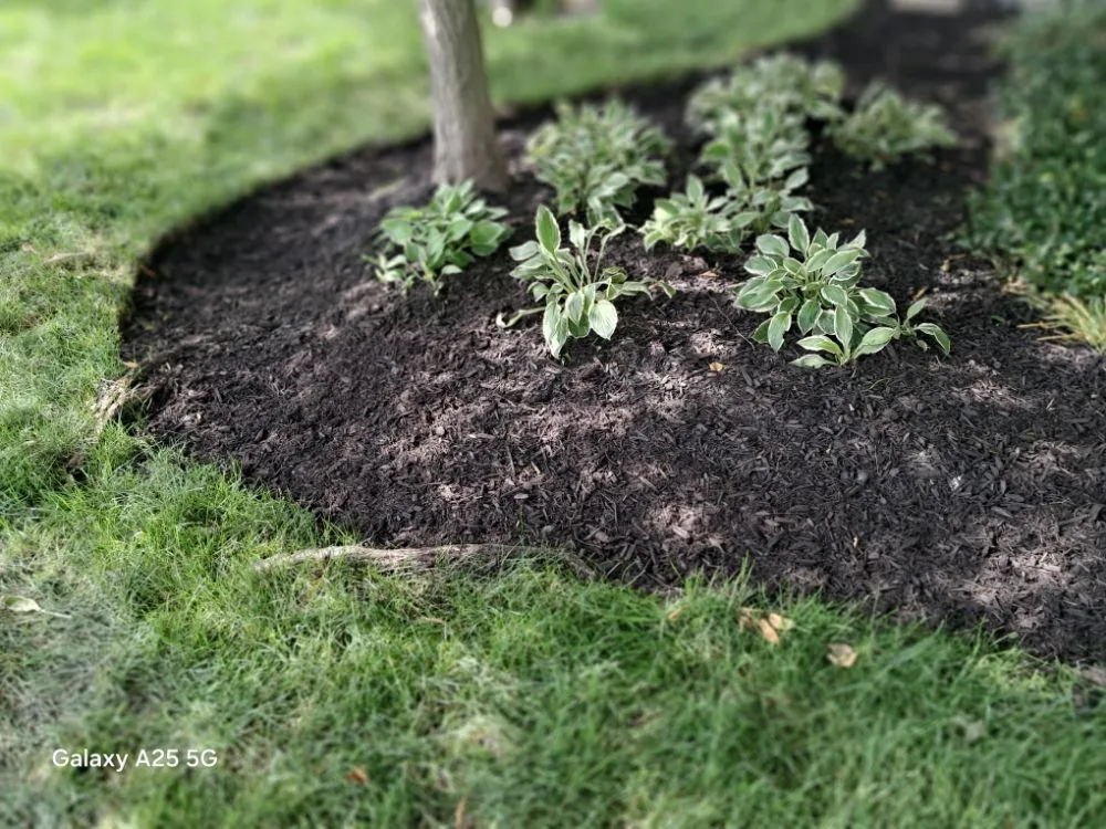 Local garden landscaping for residential properties across Fort Wayne, IN - B&S LANDSCAPING