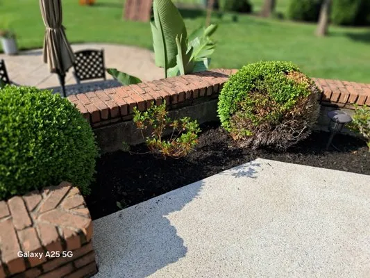 B&S LANDSCAPING Logo