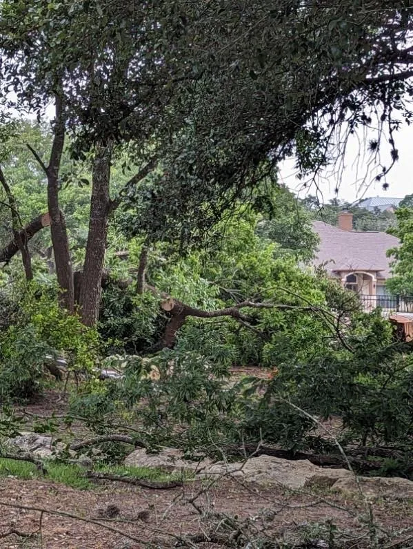 Reliable landscape installation in San Antonio, TX - B’s Landscaping