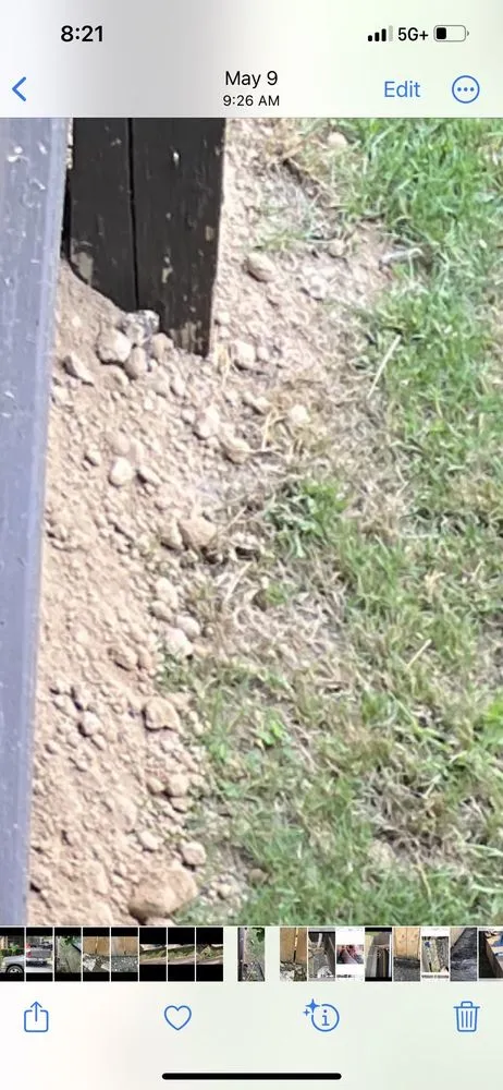 Top-rated landscape design in San Antonio, TX - B’s Landscaping