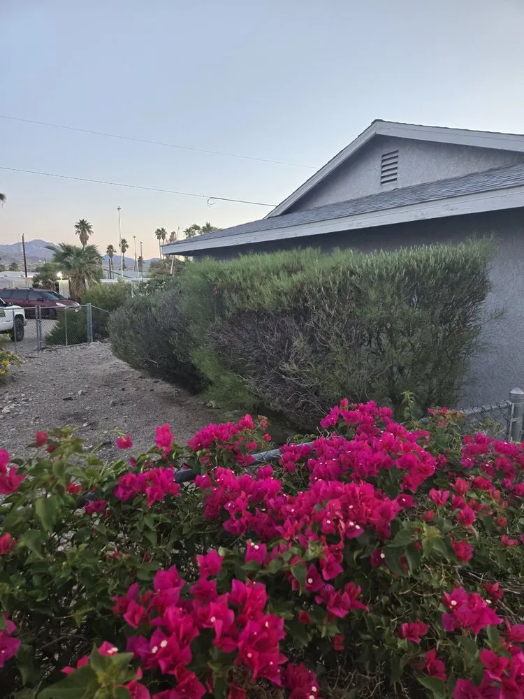 Affordable landscape design experts serving Bullhead City, AZ - B's Landscaping Services