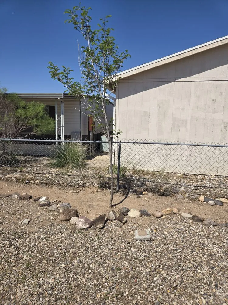 Affordable yard cleanup service for homes across Bullhead City, AZ - B's Landscaping Services