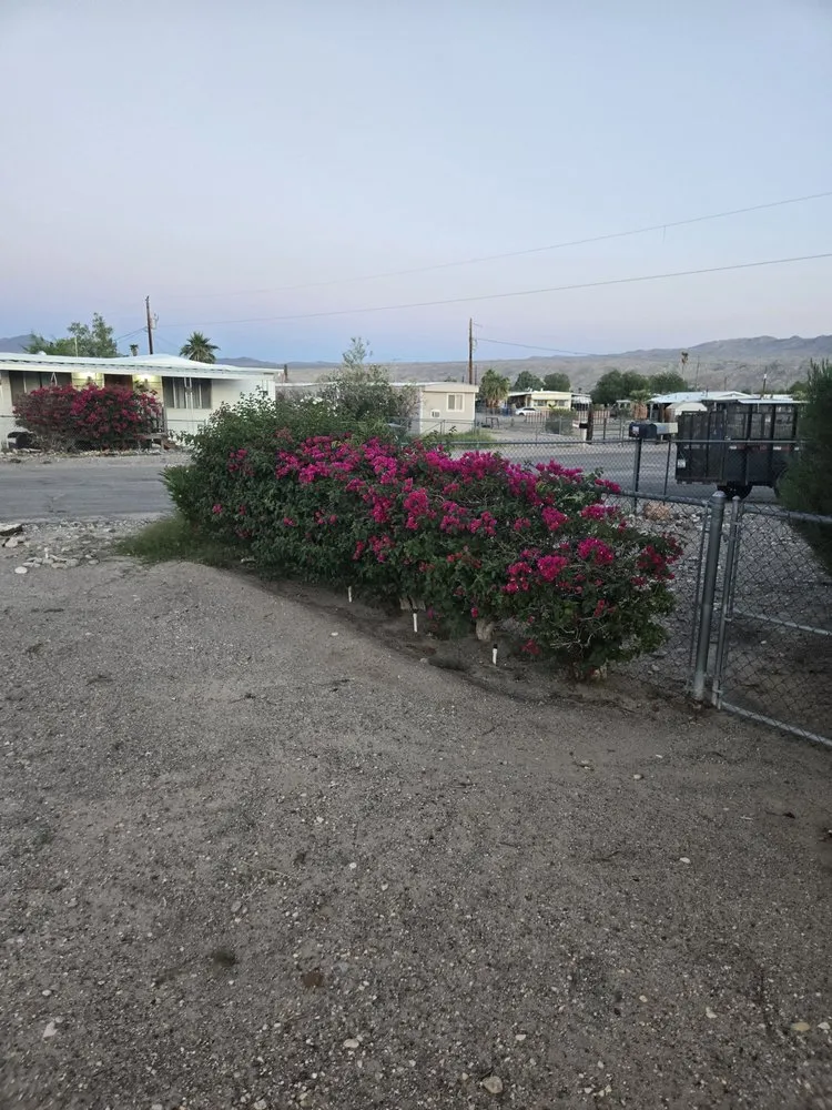 Professional lawn care service for residential properties in Bullhead City, AZ by B's Landscaping Services