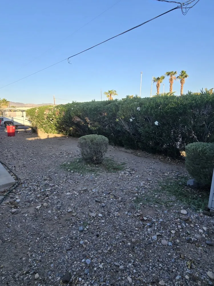 Trusted landscape design in Bullhead City, AZ - B's Landscaping Services