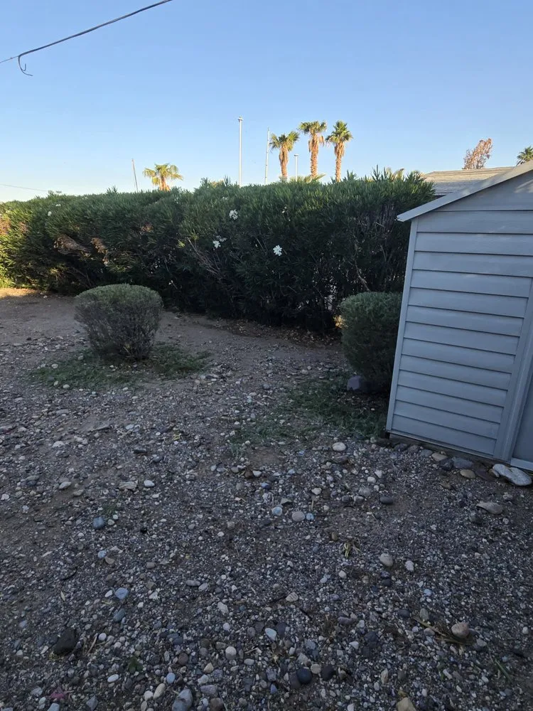 Top-rated lawn care service experts serving Bullhead City, AZ - B's Landscaping Services