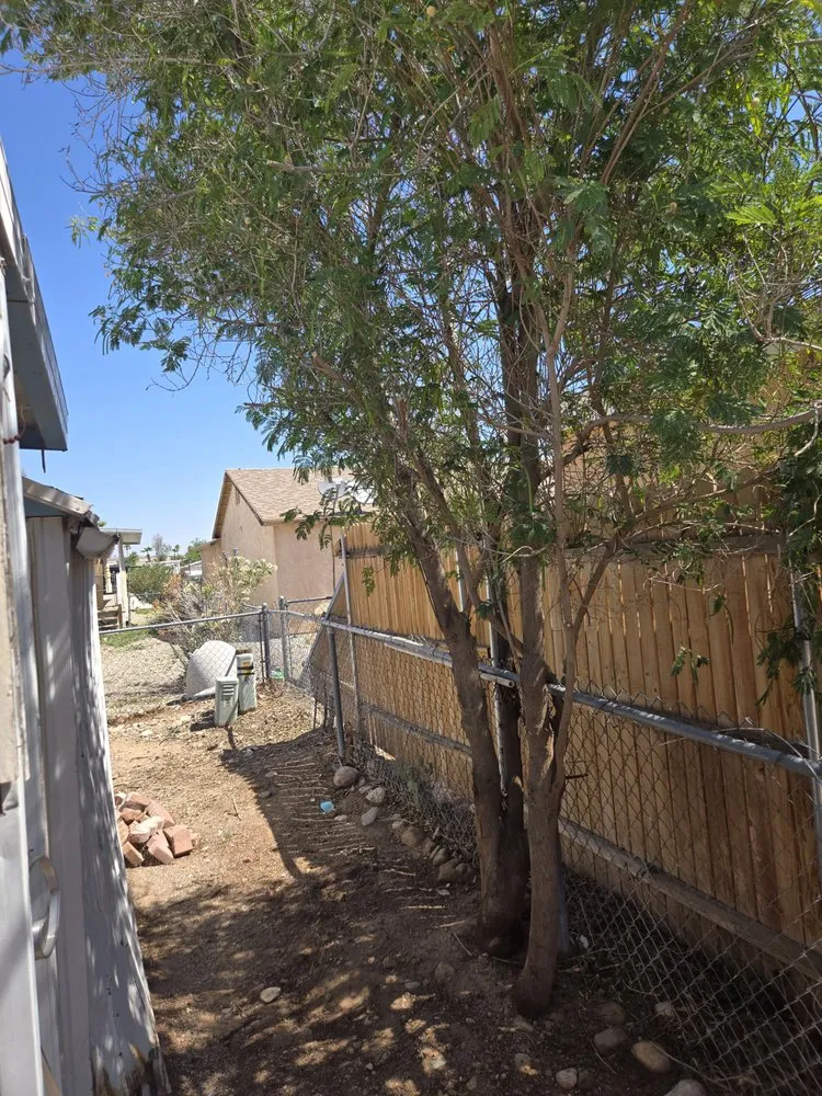 Expert yard maintenance in Bullhead City, AZ - B's Landscaping Services