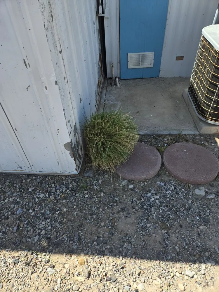 Custom yard cleanup service experts serving Bullhead City, AZ - B's Landscaping Services