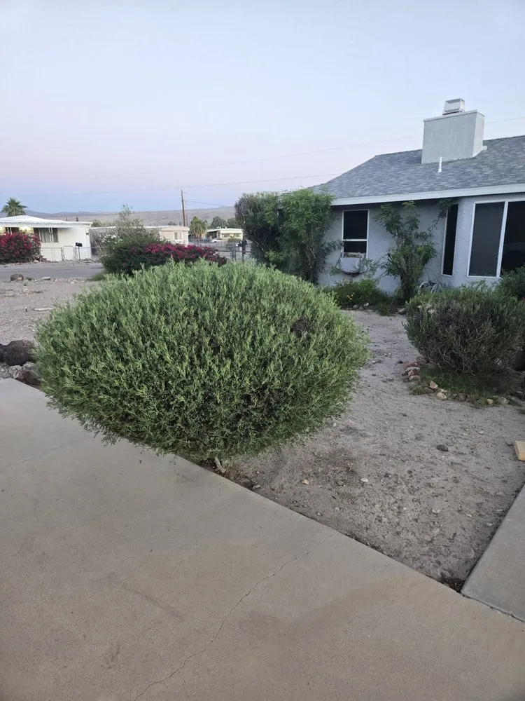 Top-rated lawn care service for outdoor upgrades across Bullhead City, AZ - B's Landscaping Services
