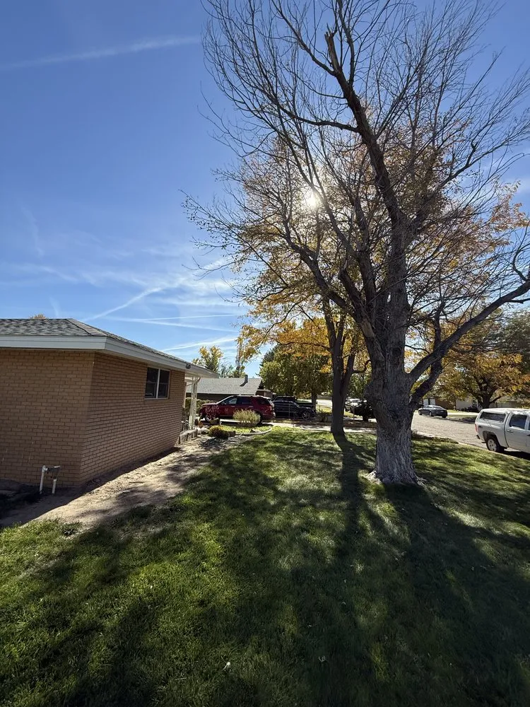 Expert residential landscaping for beautiful yards across Guymon, OK - B&S Lawn and Tree