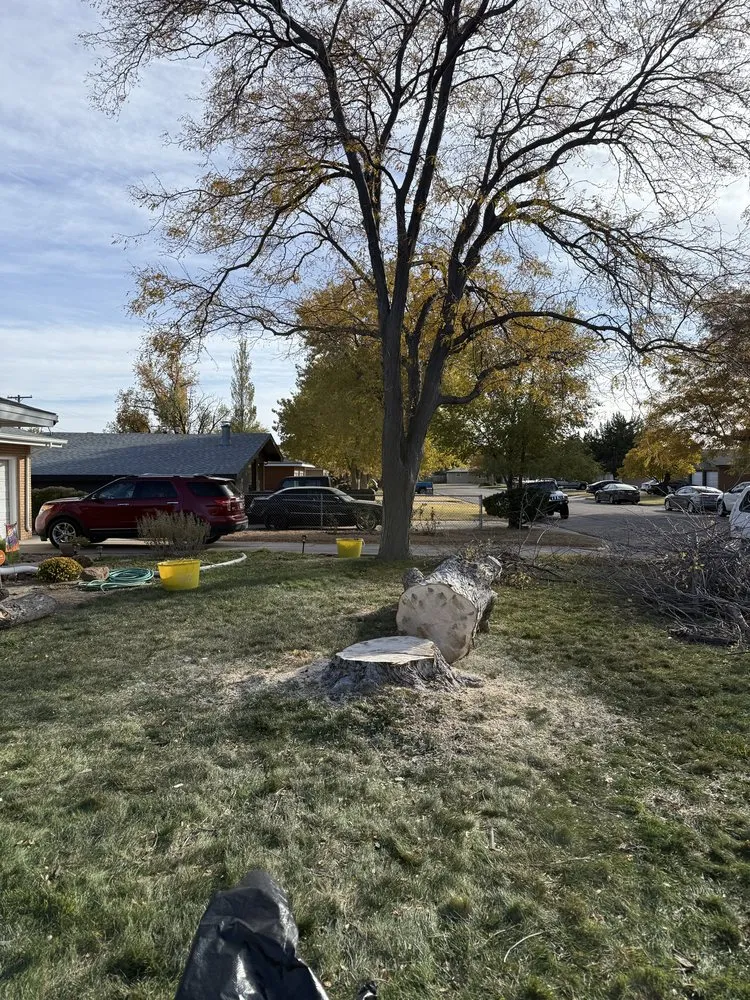 Custom landscape installation in Guymon, OK by B&S Lawn and Tree