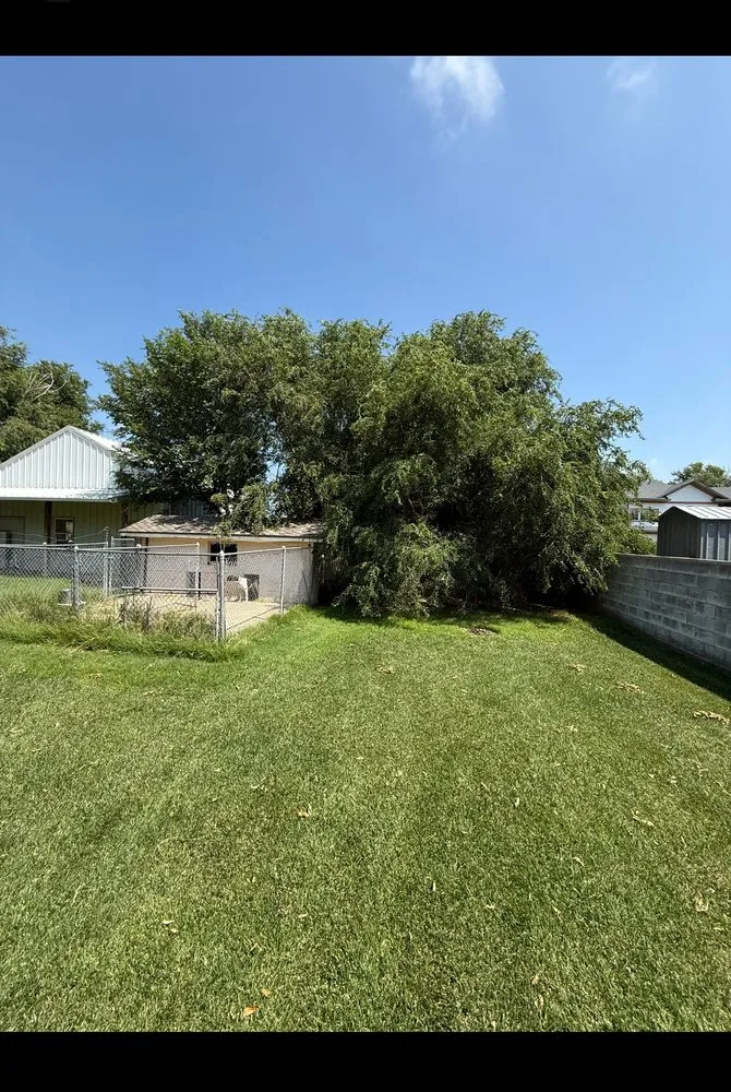 Local lawn care service in Guymon, OK - B&S Lawn and Tree