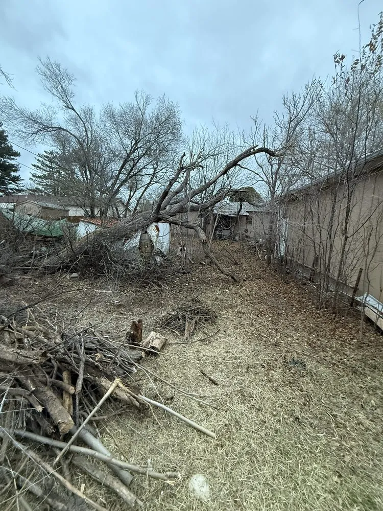 Professional residential landscaping for year-round maintenance across Guymon, OK - B&S Lawn and Tree