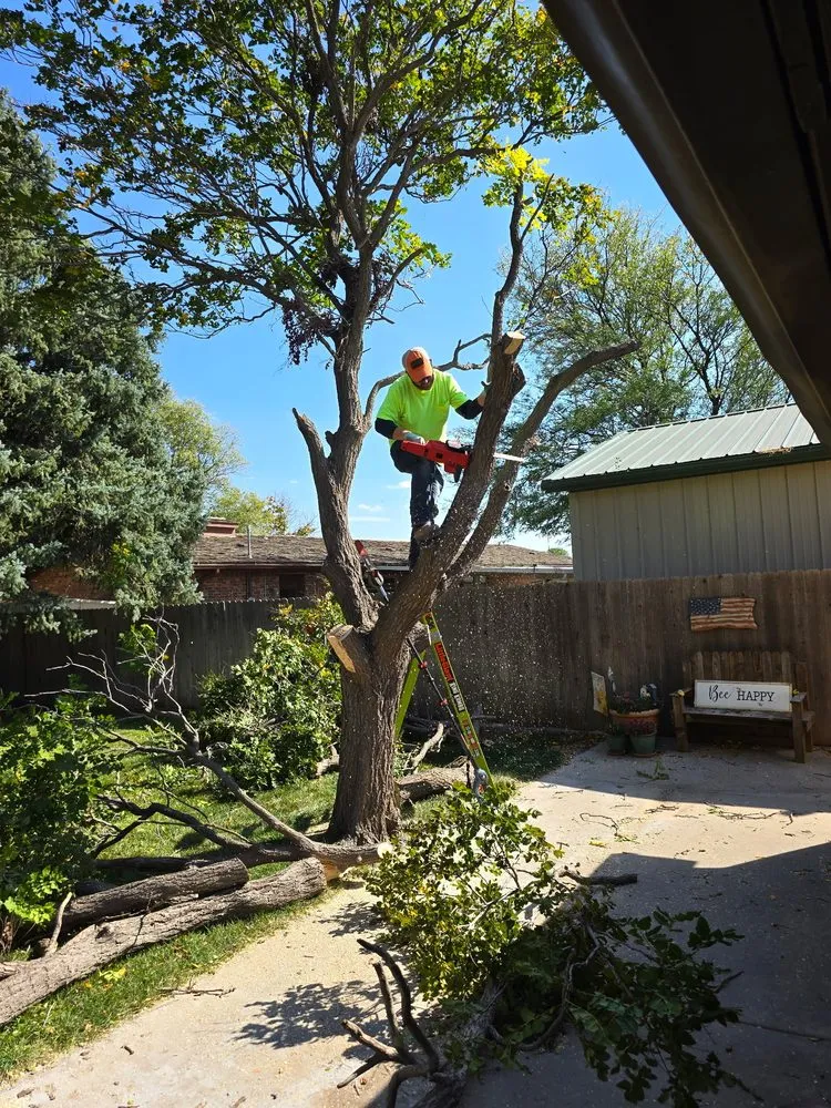 Local lawn mowing service near you in Guymon, OK by B&S Lawn and Tree