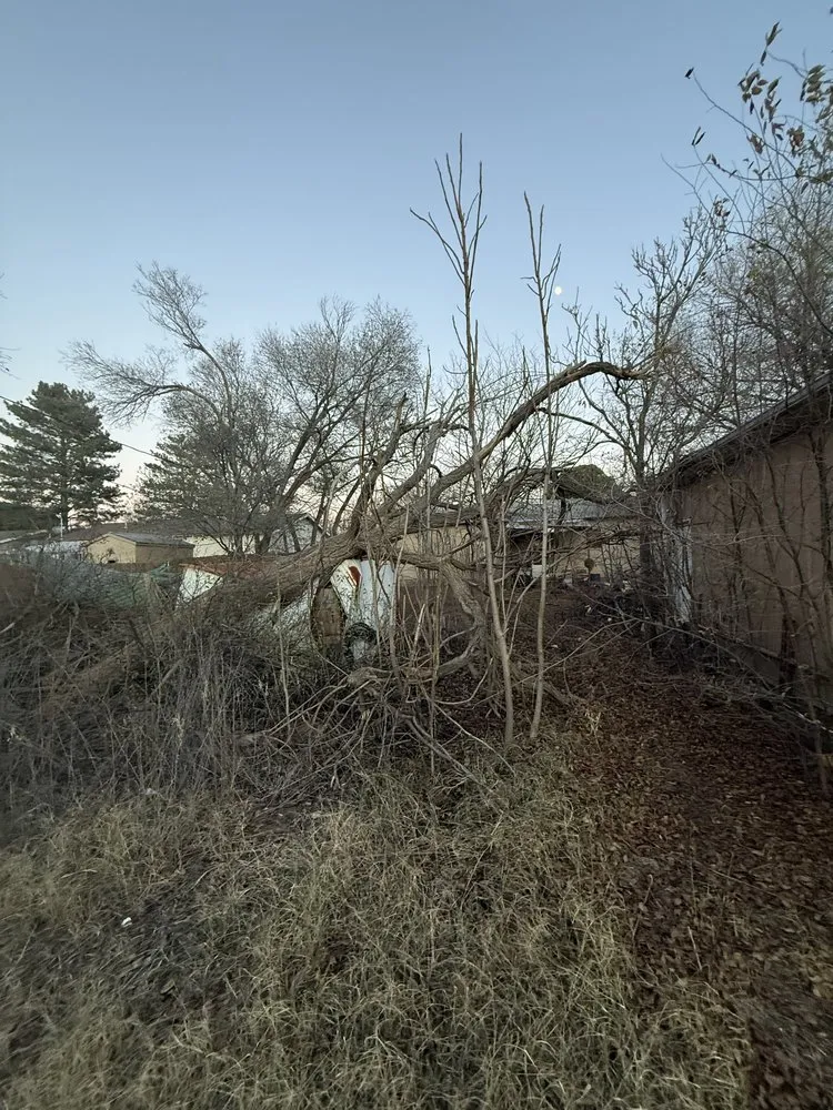 Professional lawn mowing service experts serving Guymon, OK - B&S Lawn and Tree