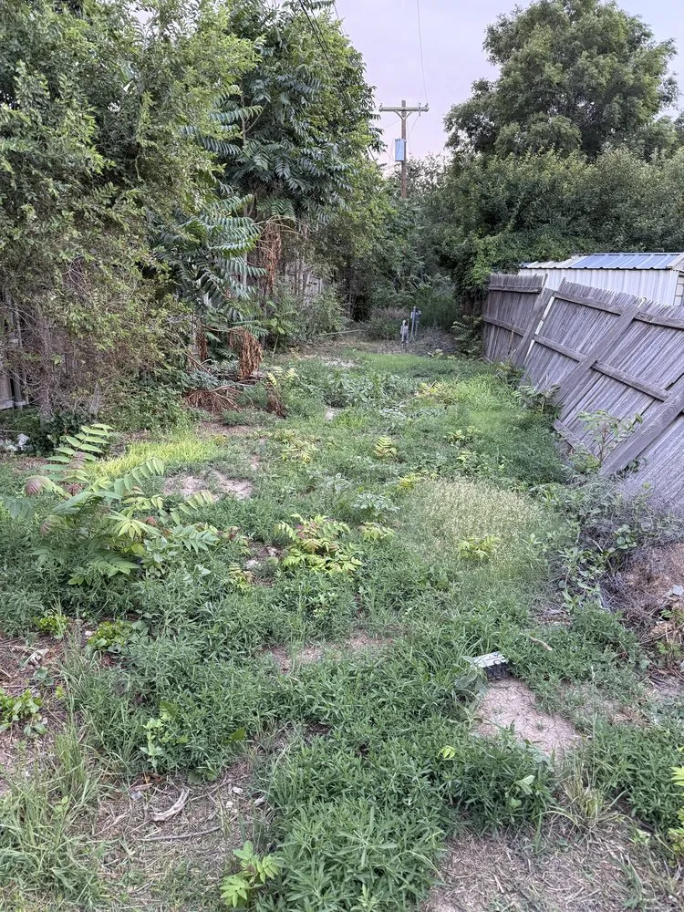 Professional yard maintenance for year-round maintenance in Guymon, OK by B&S Lawn and Tree