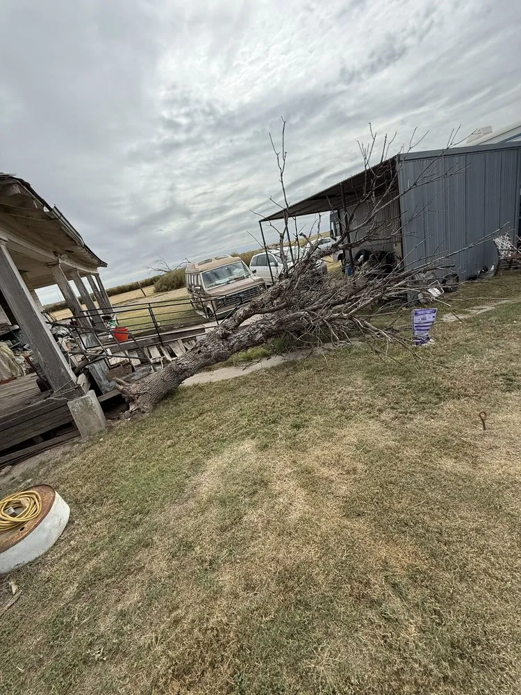 Local landscape design in Guymon, OK - B&S Lawn and Tree