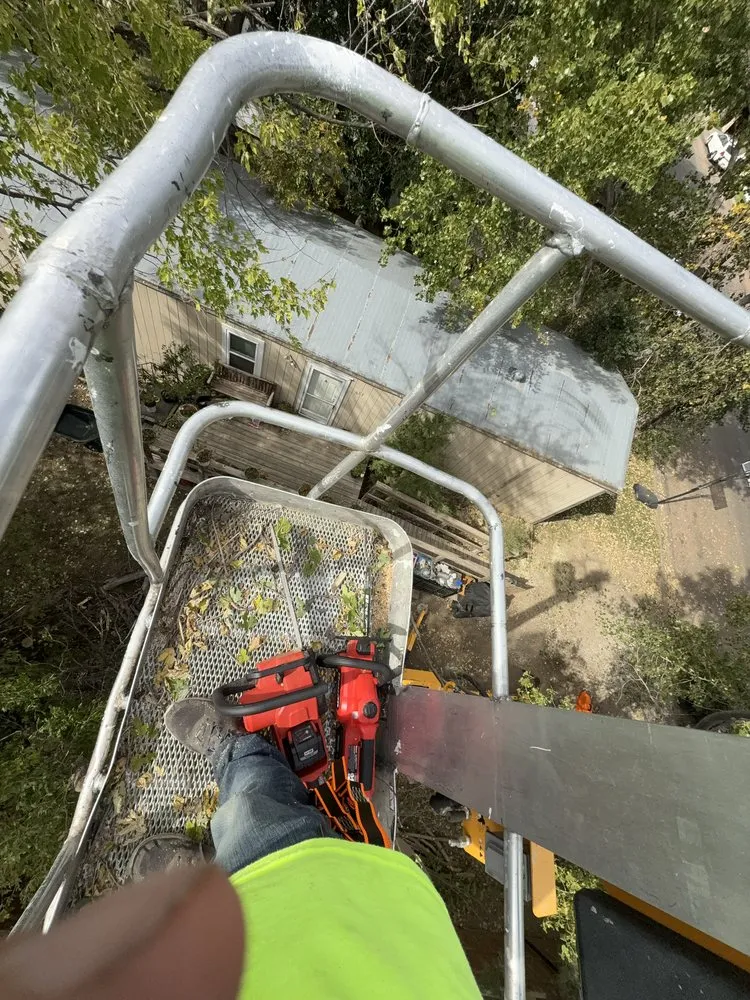 Professional landscape installation in Guymon, OK - B&S Lawn and Tree