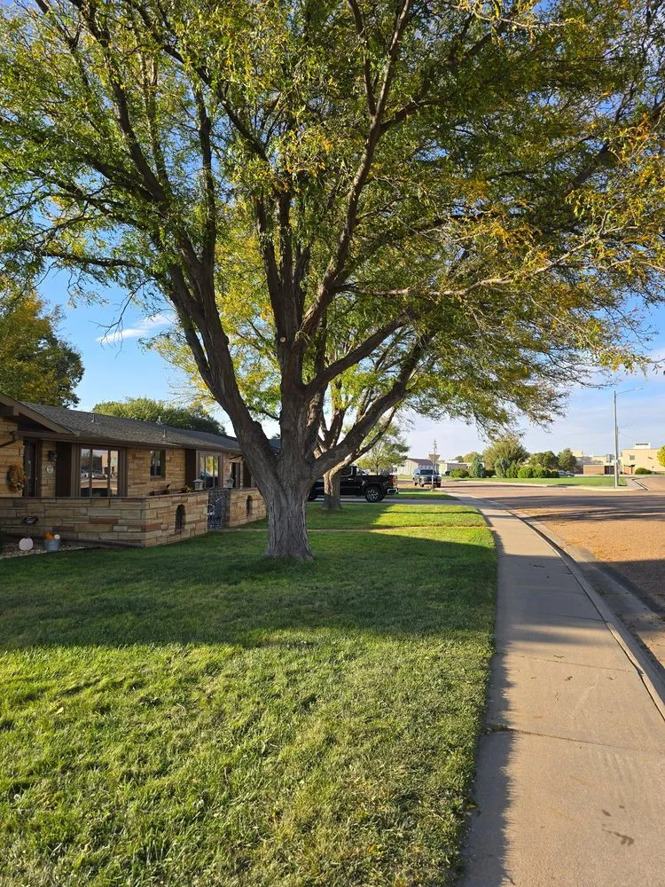 Local yard maintenance for homes across Guymon, OK - B&S Lawn and Tree