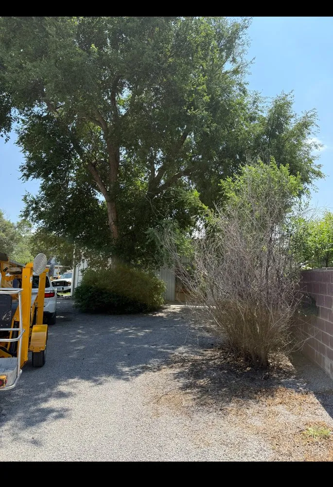 Top-rated lawn care service for residential properties across Guymon, OK - B&S Lawn and Tree