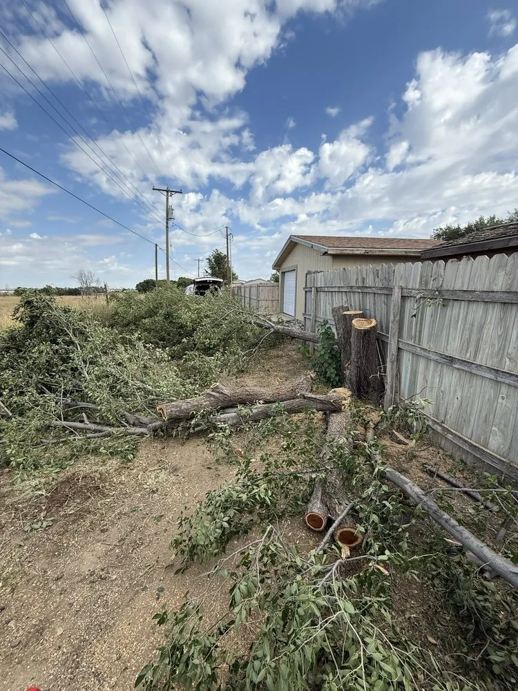 Custom yard cleanup service in Guymon, OK - B&S Lawn and Tree