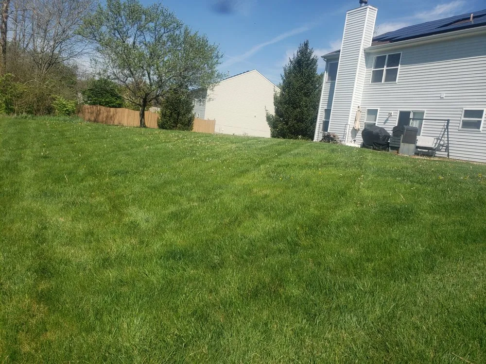 Expert yard maintenance in Brownsburg, IN by B.S. Lawn Care