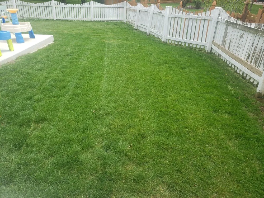 Professional lawn mowing service for year-round maintenance in Brownsburg, IN by B.S. Lawn Care