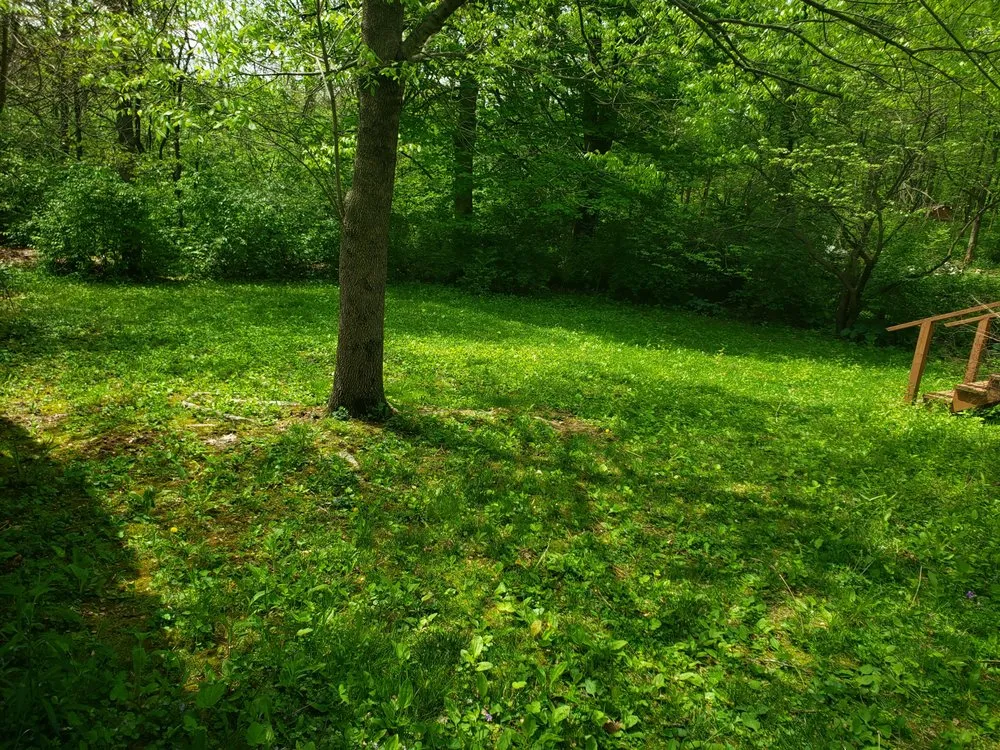 Trusted residential landscaping experts serving Brownsburg, IN - B.S. Lawn Care