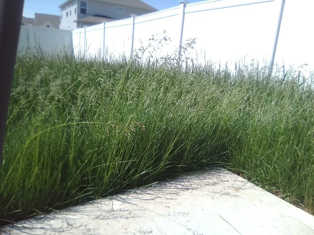 Expert landscape design experts serving Brownsburg, IN - B.S. Lawn Care