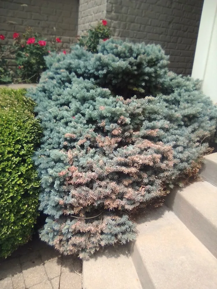 Affordable garden landscaping in Brownsburg, IN - B.S. Lawn Care