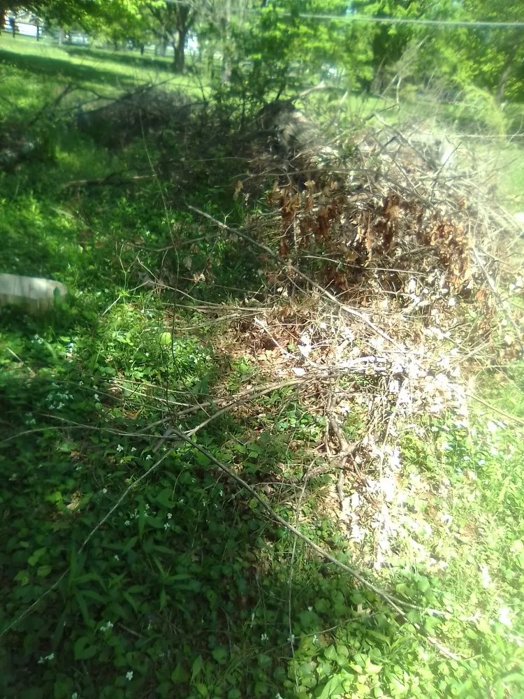 Affordable garden landscaping for beautiful yards in Brownsburg, IN by B.S. Lawn Care