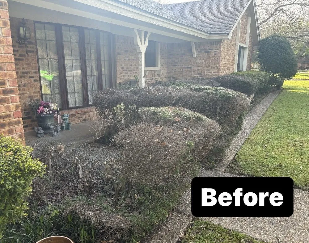 Local landscape installation for year-round maintenance across Cleburne, TX - B's Lawn Care