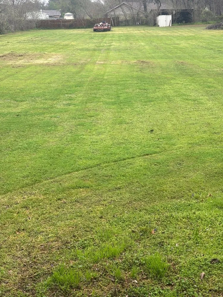 Expert lawn care service in Cleburne, TX - B's Lawn Care