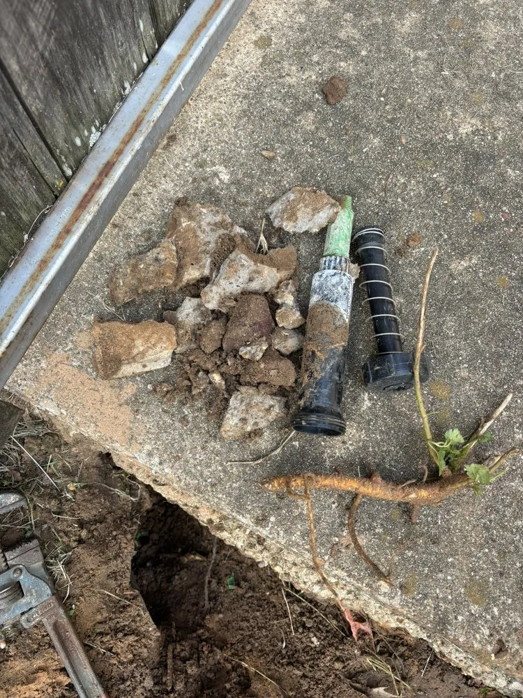 Expert lawn care service for outdoor upgrades across Cleburne, TX - B's Lawn Care